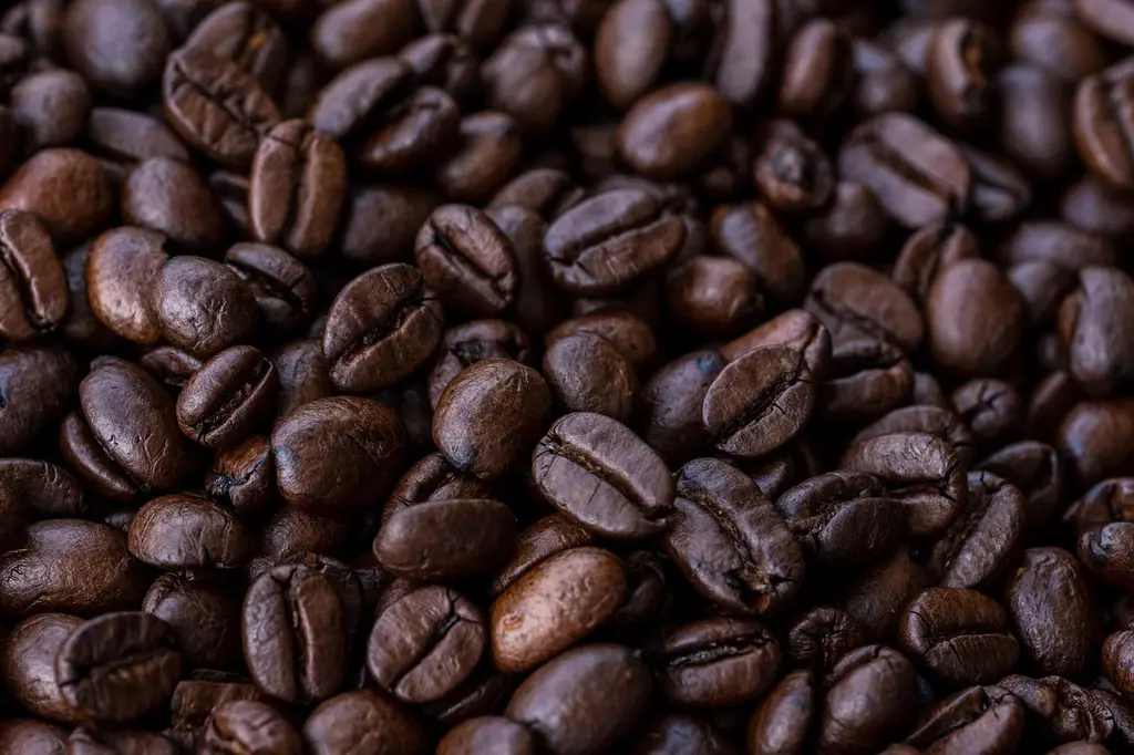 La importancia de la trazabilidad en el café