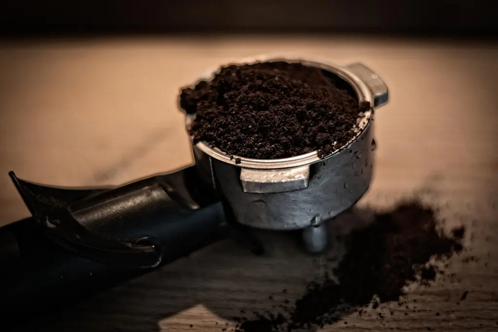 Introducción al café de especialidad para principiantes