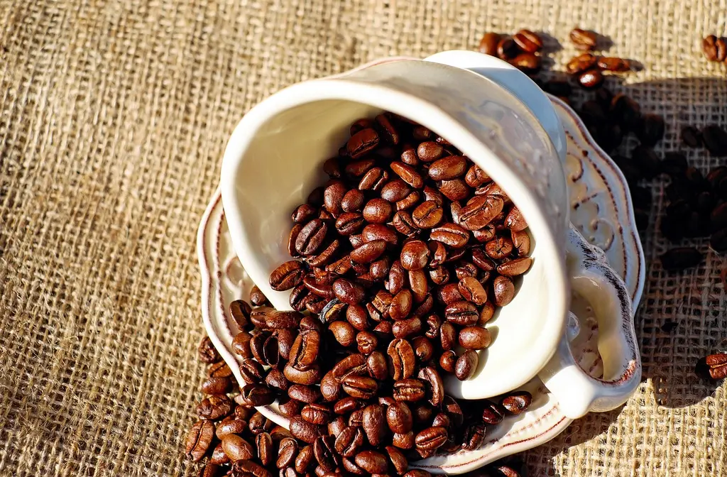 Consultas personalizadas sobre café para empresas.